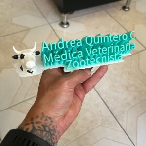 imagen de whatsapp 2024 12 24 a las 19.37.45 11cd4fab