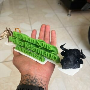 imagen de whatsapp 2024 12 24 a las 19.39.49 92295d69