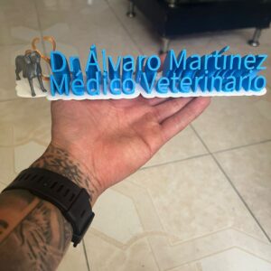 imagen de whatsapp 2024 12 24 a las 19.41.51 1cb06a6d